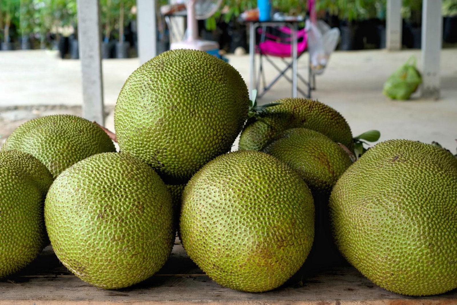 frutas de pan