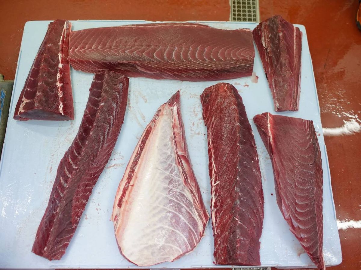 Algunas de las más de 20 piezas que se extraen durante el ronqueo.