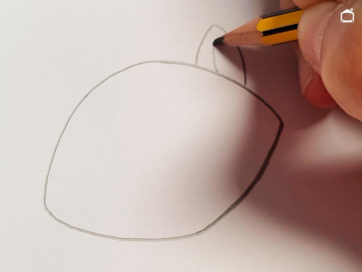 Primer para dibujar un gato.