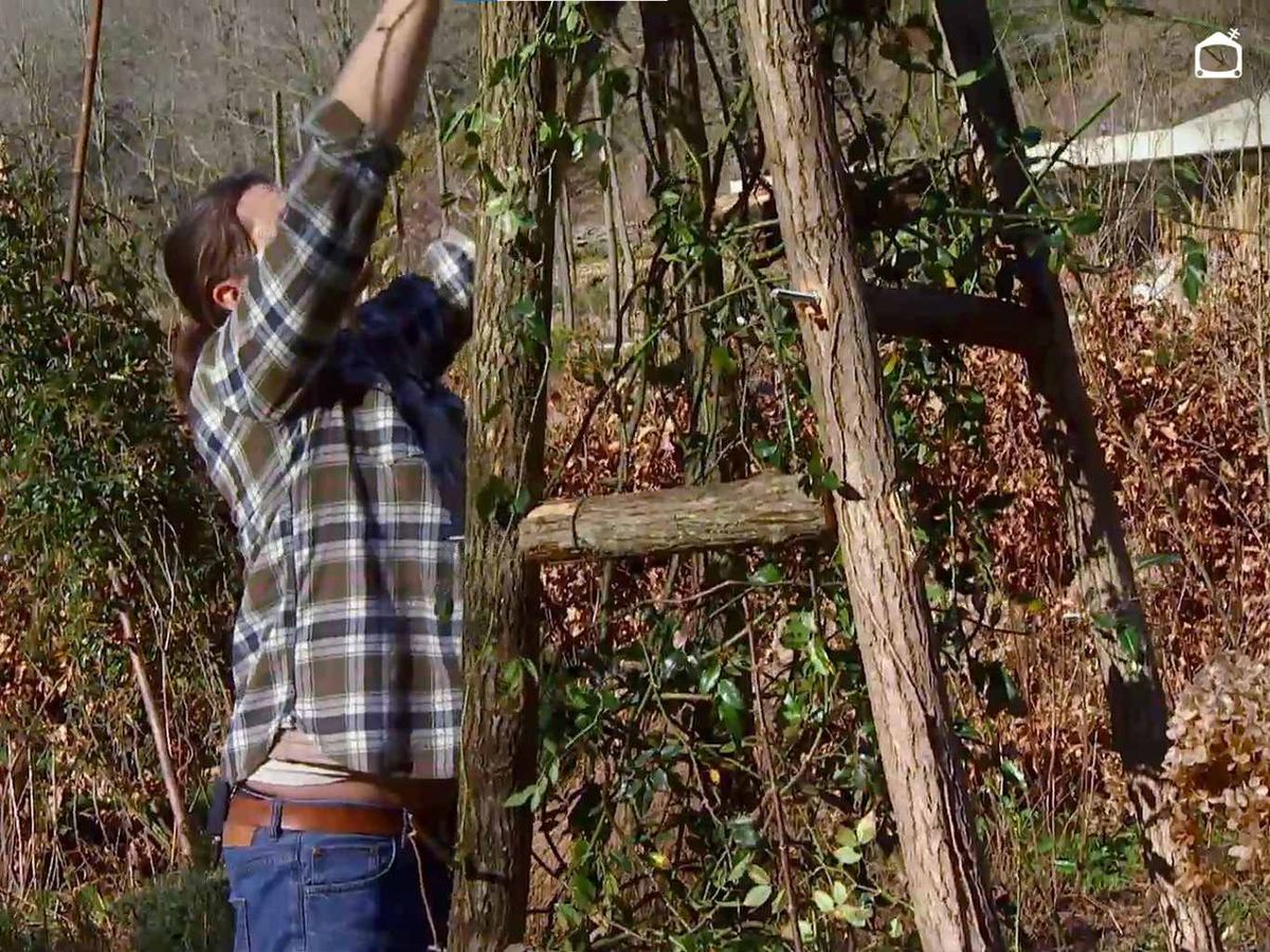 Hacer estructura para rosal trepador.