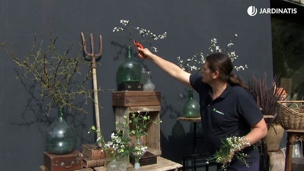 arreglo floral con poncirus trifoliata deco 771 jardin