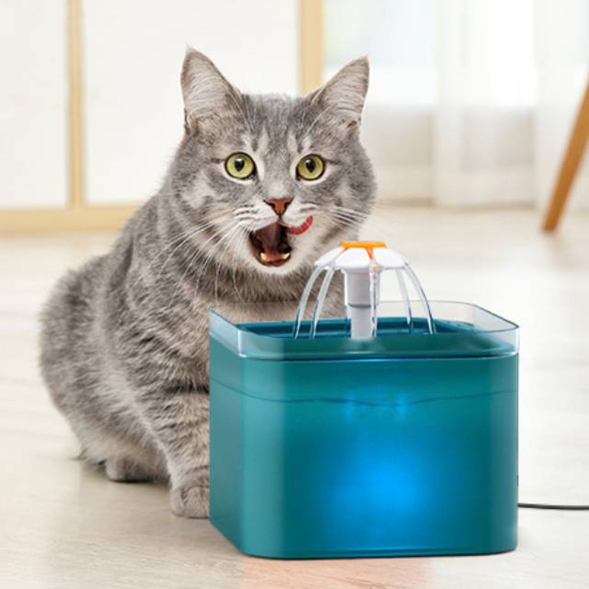 fuente de agua bebedero automatico para gatos AONBO mas vendido amazon