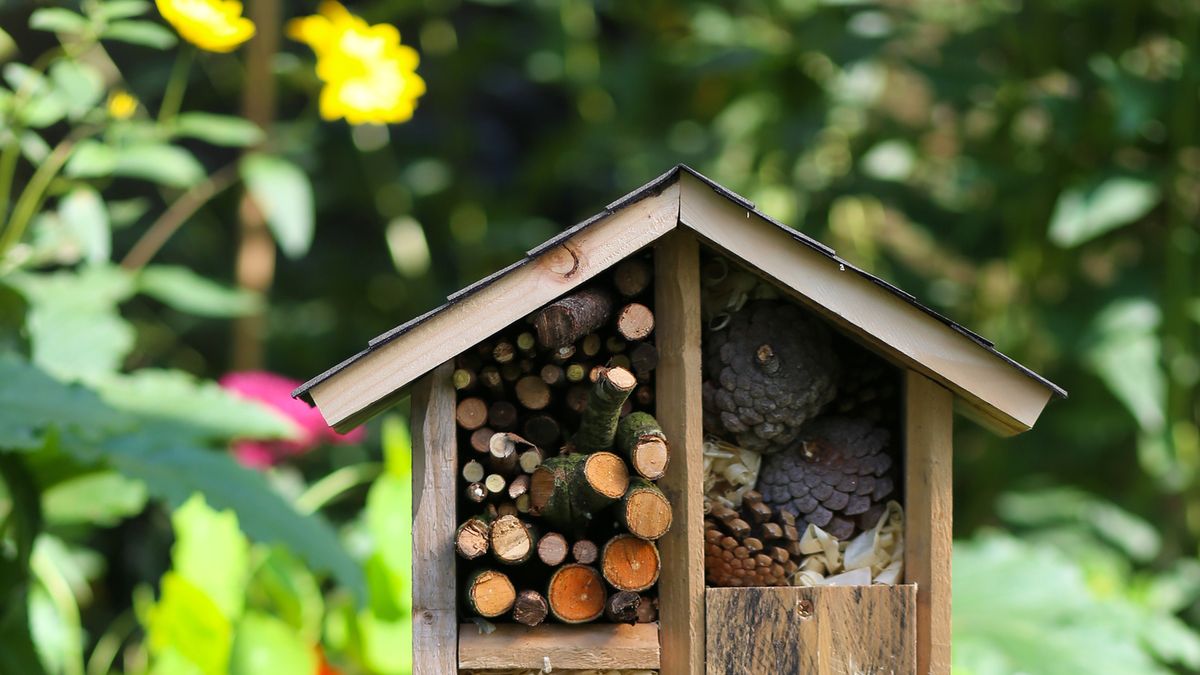 Gracias a los refugios de polinizadores tu jardín ayudará a mantener el equilibrio del planeta