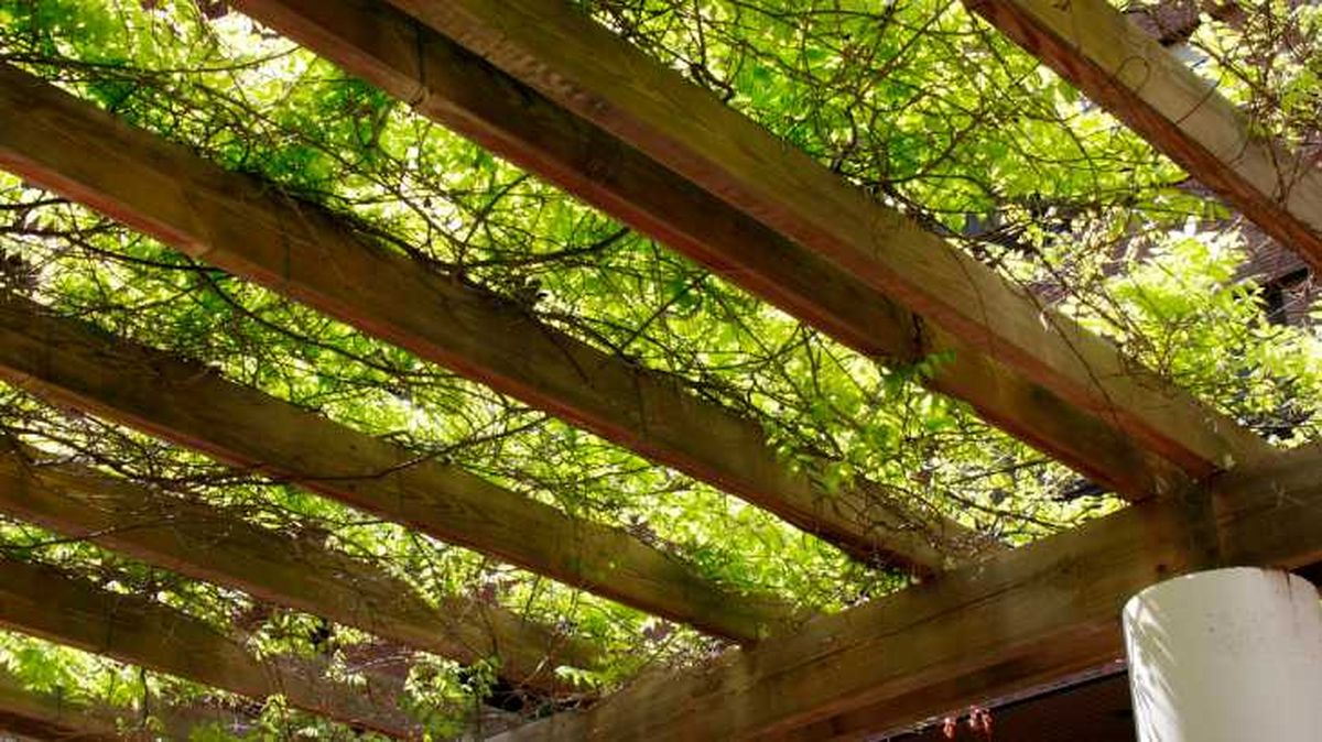 ideas para techar patio interior 4