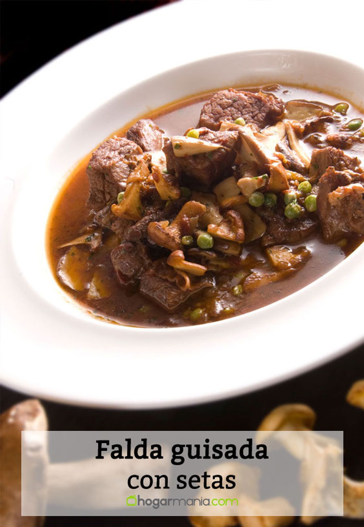 falda guisada setas pin