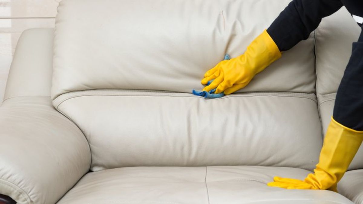 eliminar polvo sofa de piel