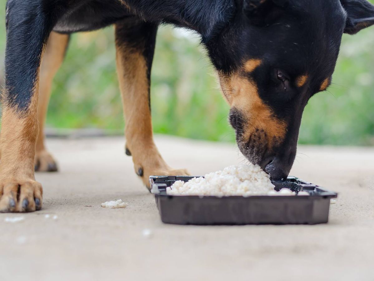 Uno de los consejos más valorados de este video es el empleo de la sopa de moro.