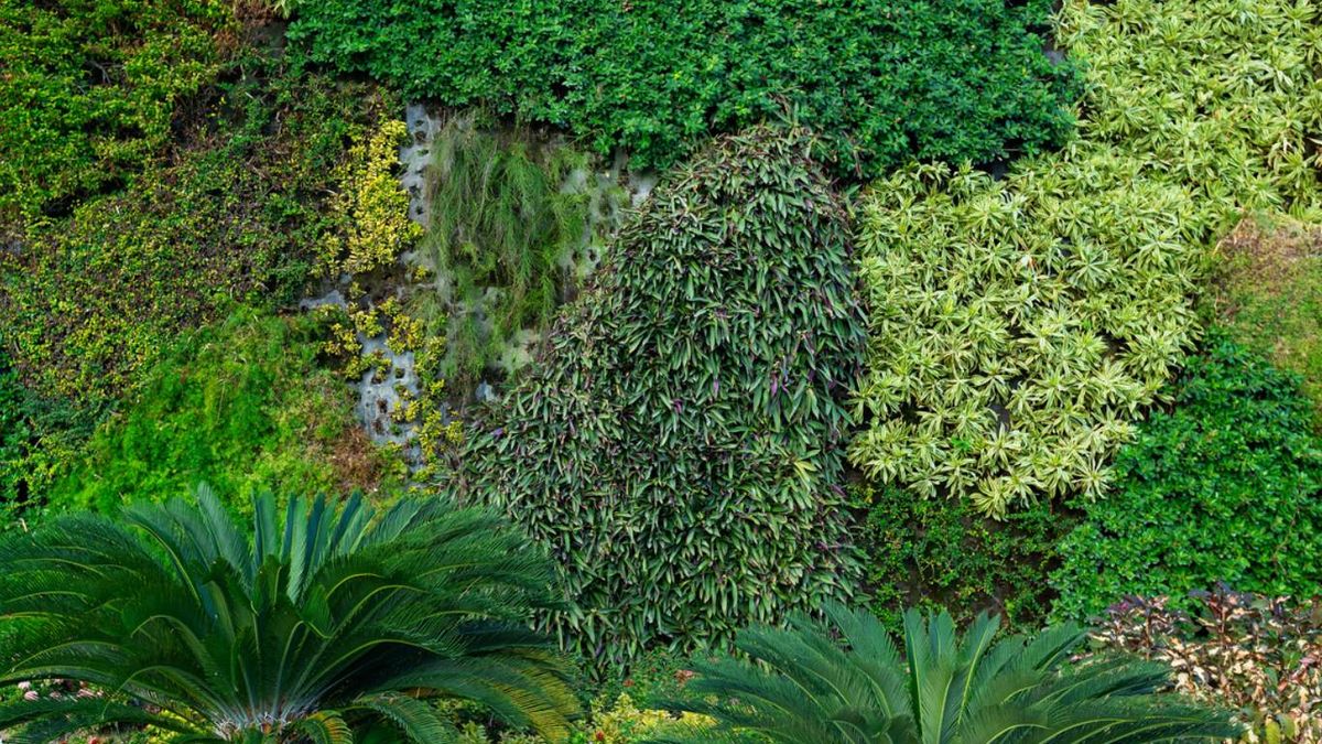 Jardinería vertical