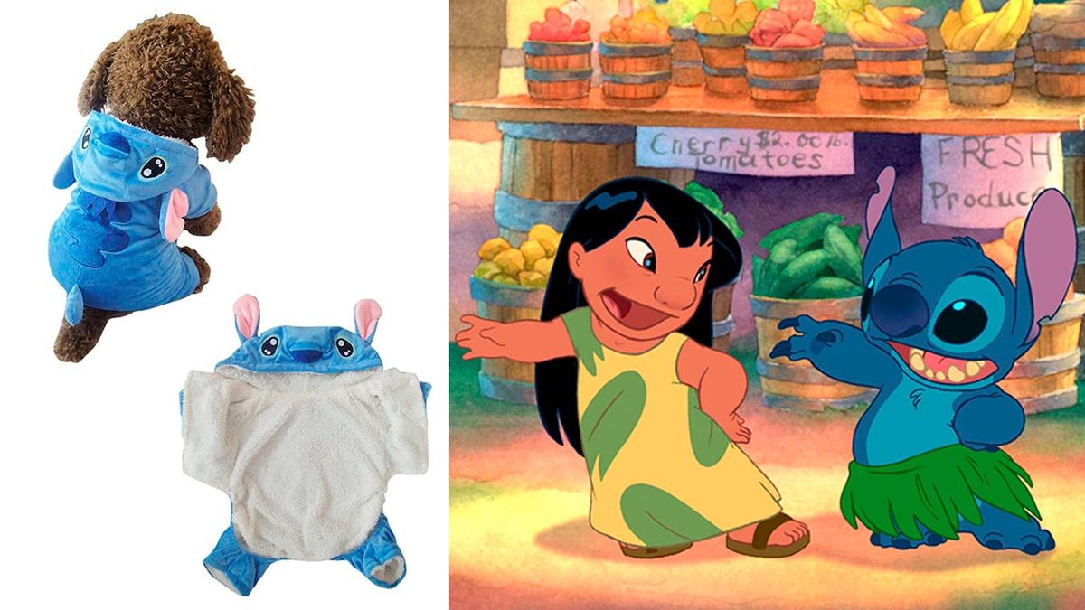 disfraces disney mascotas 8