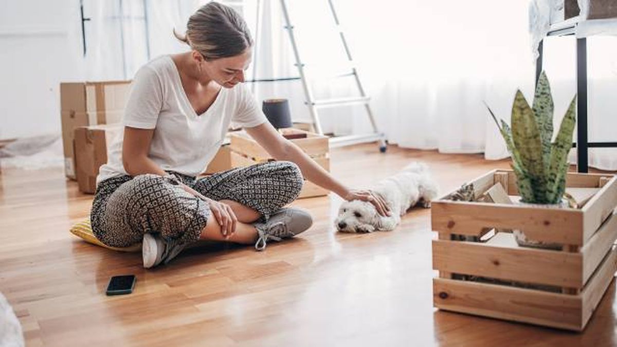 consejos alquiler vivienda con mascota