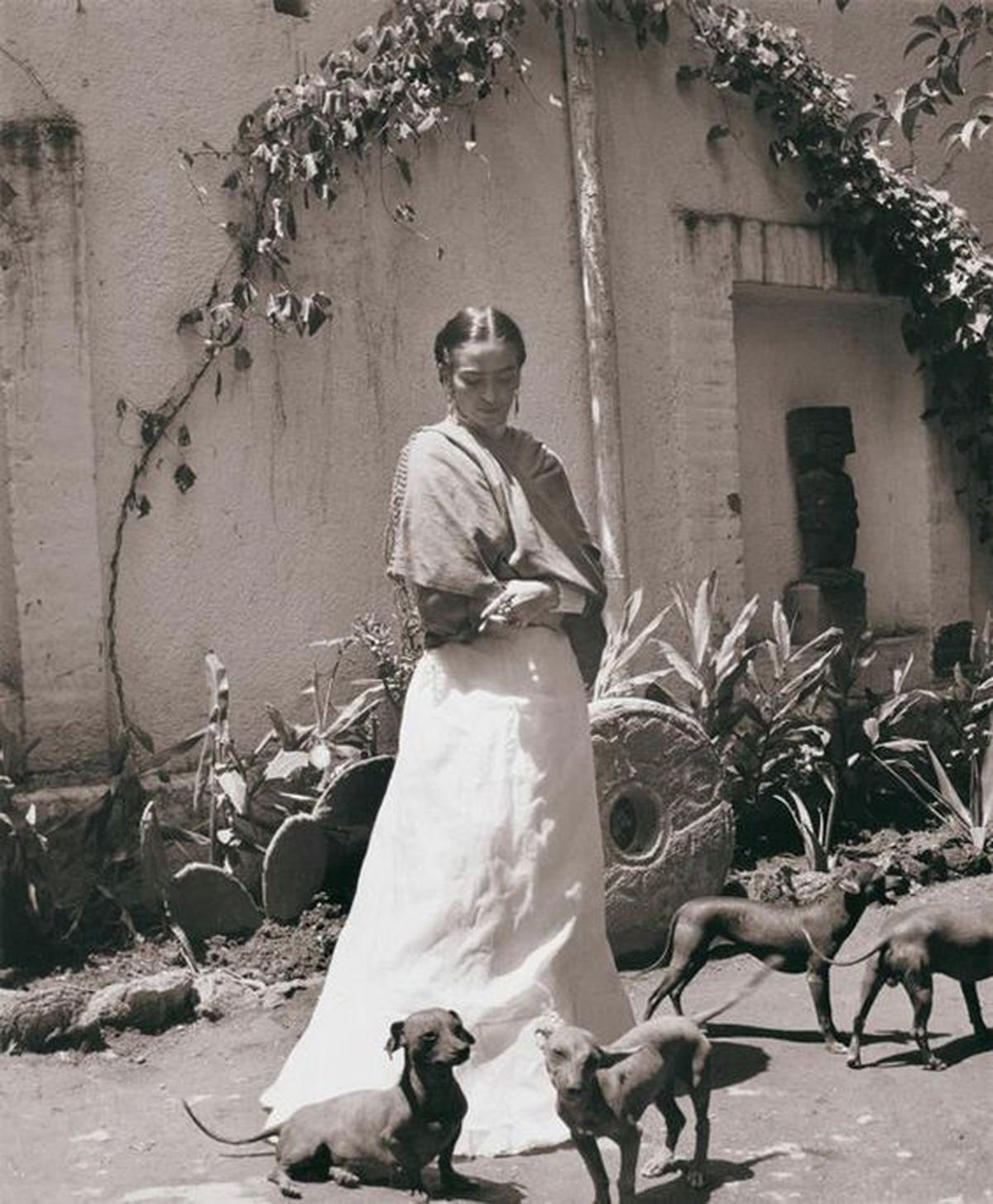 frida kahlo casa azul perros
