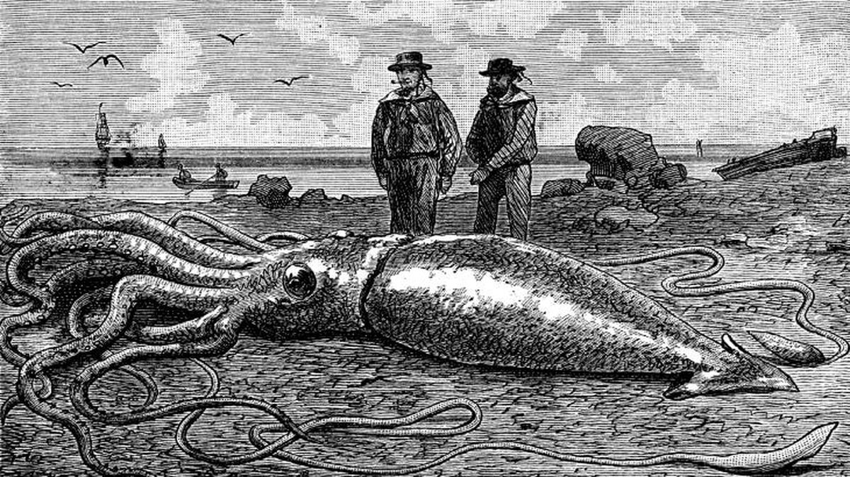 animales mitologicos 6