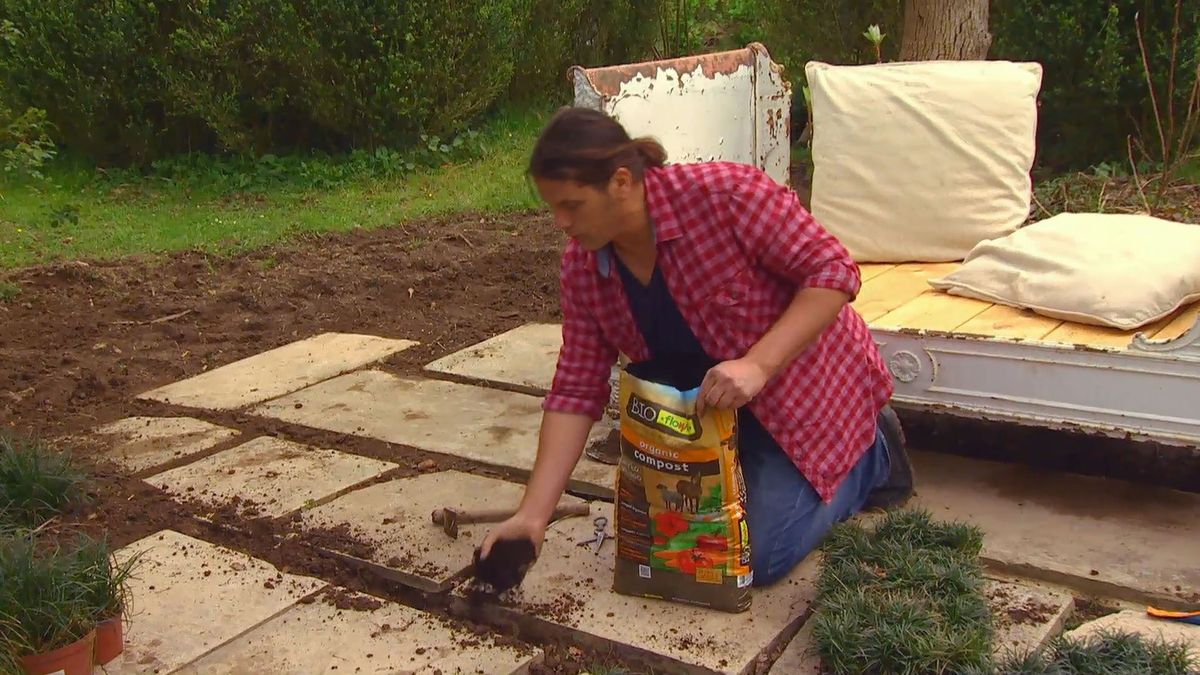 deco 0652 jardineria reverdecer camino losetas ophiopogon paso 4