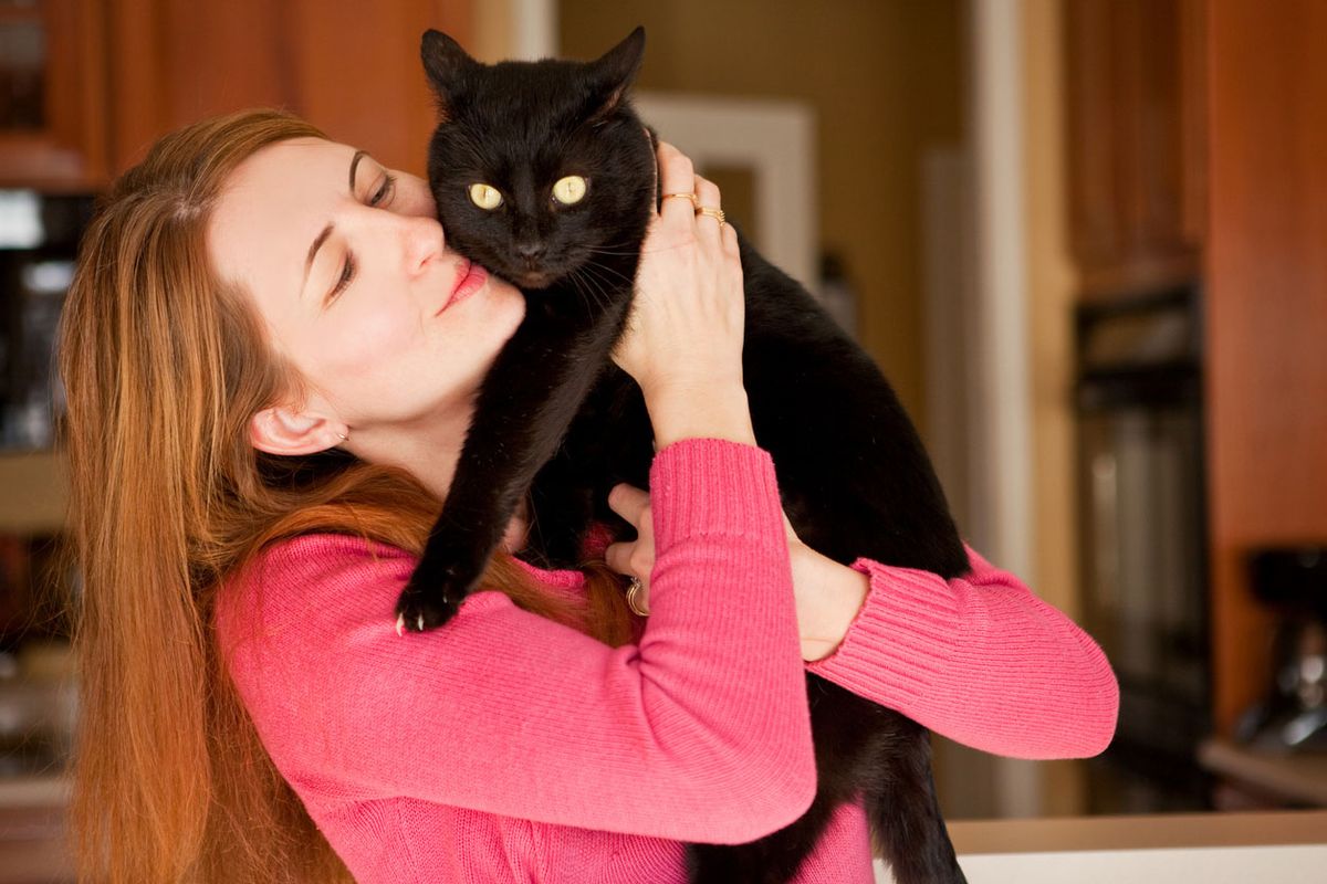 gato negro buen compañero