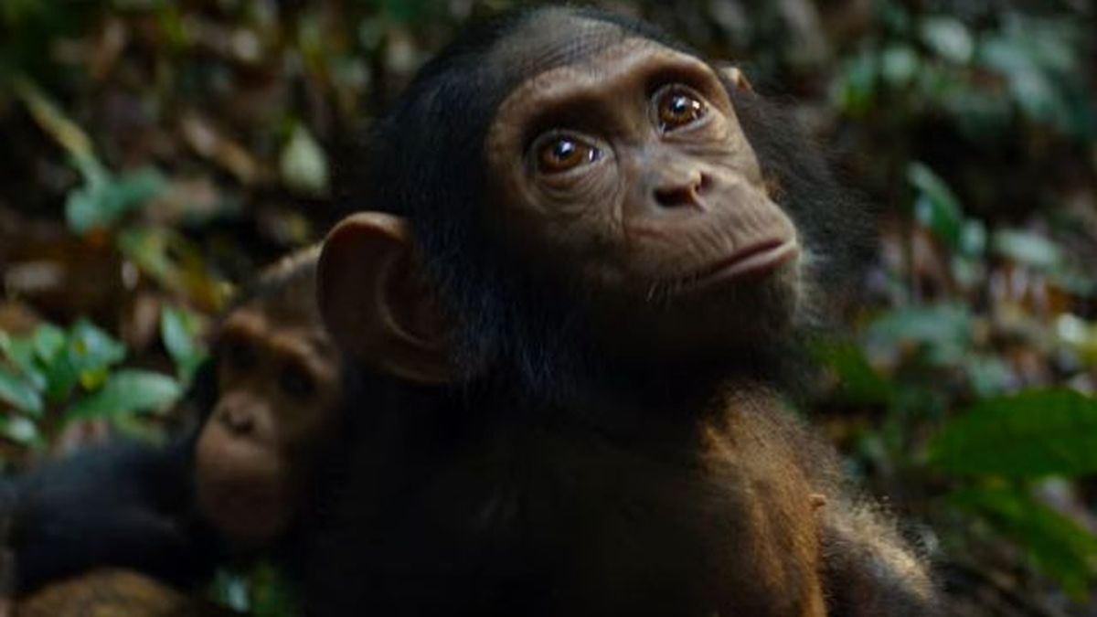 nuestro universo netflix