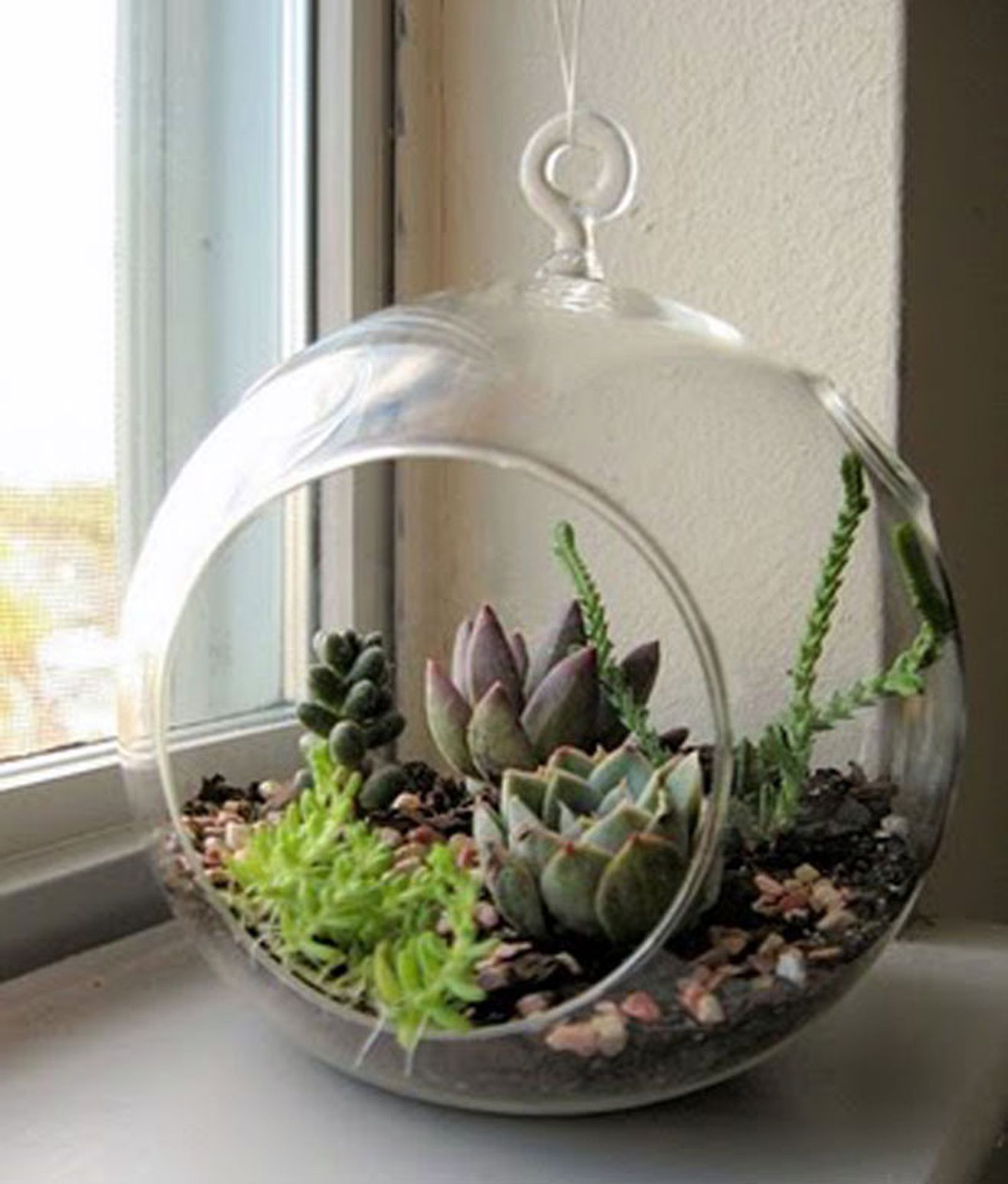 decoracion vegetal jardin interior 13 decoracion vegetal jardin interior 13