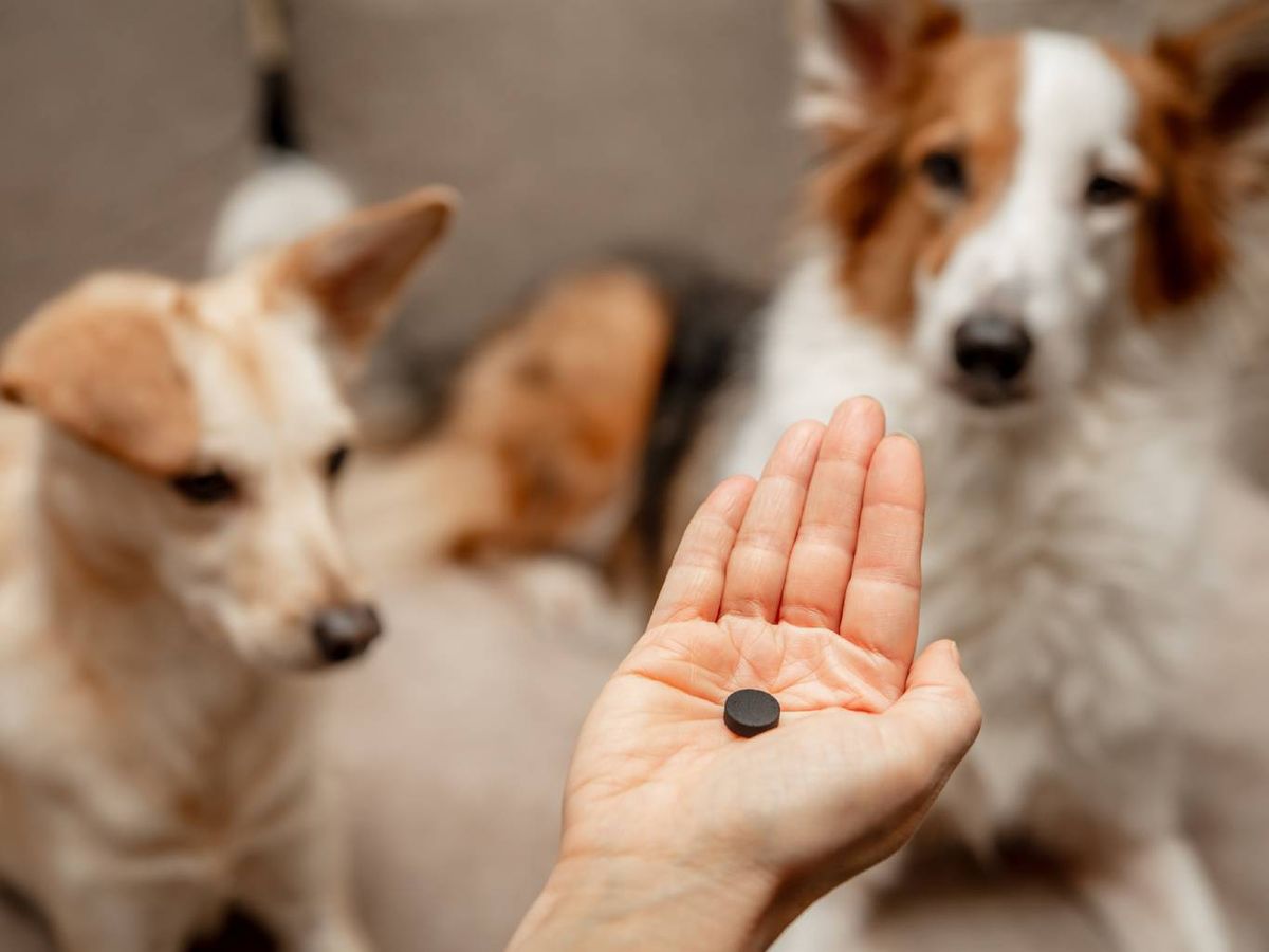 La diarrea suele ir acompañada de otros signos o síntomas.