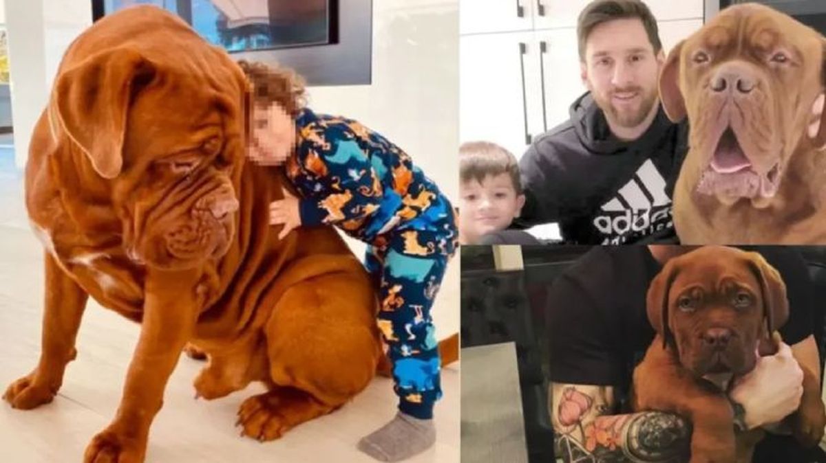 perro de messi 2