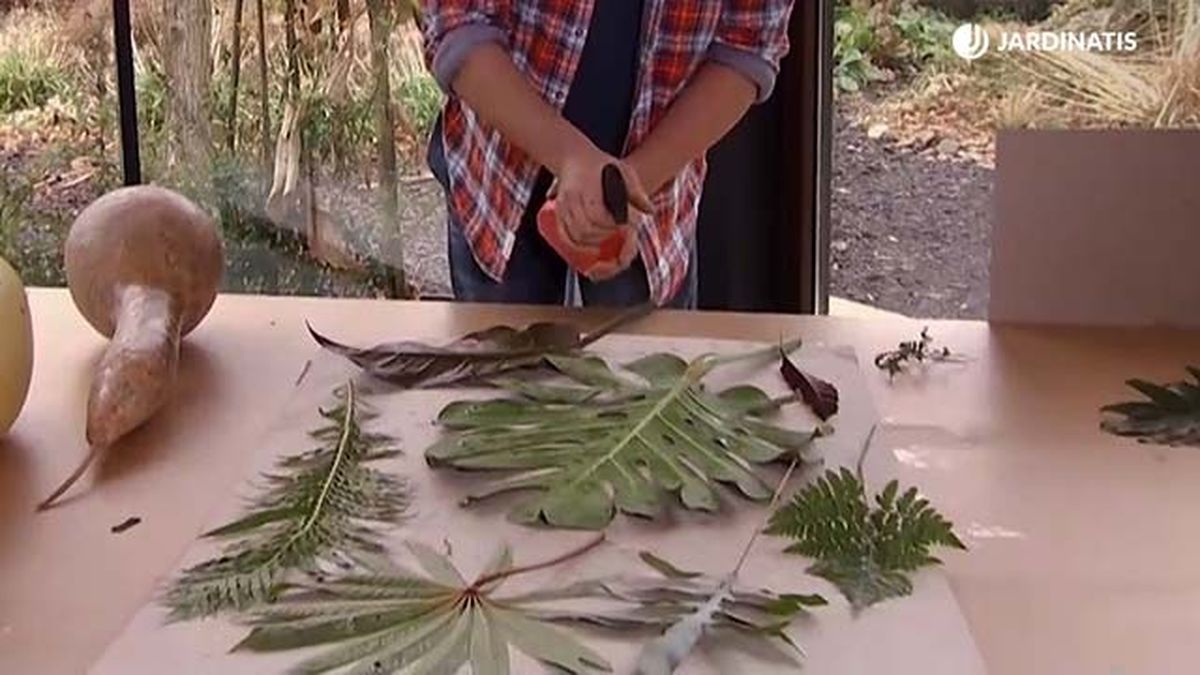 deco 683 prensado hojas secas hongos paso 2