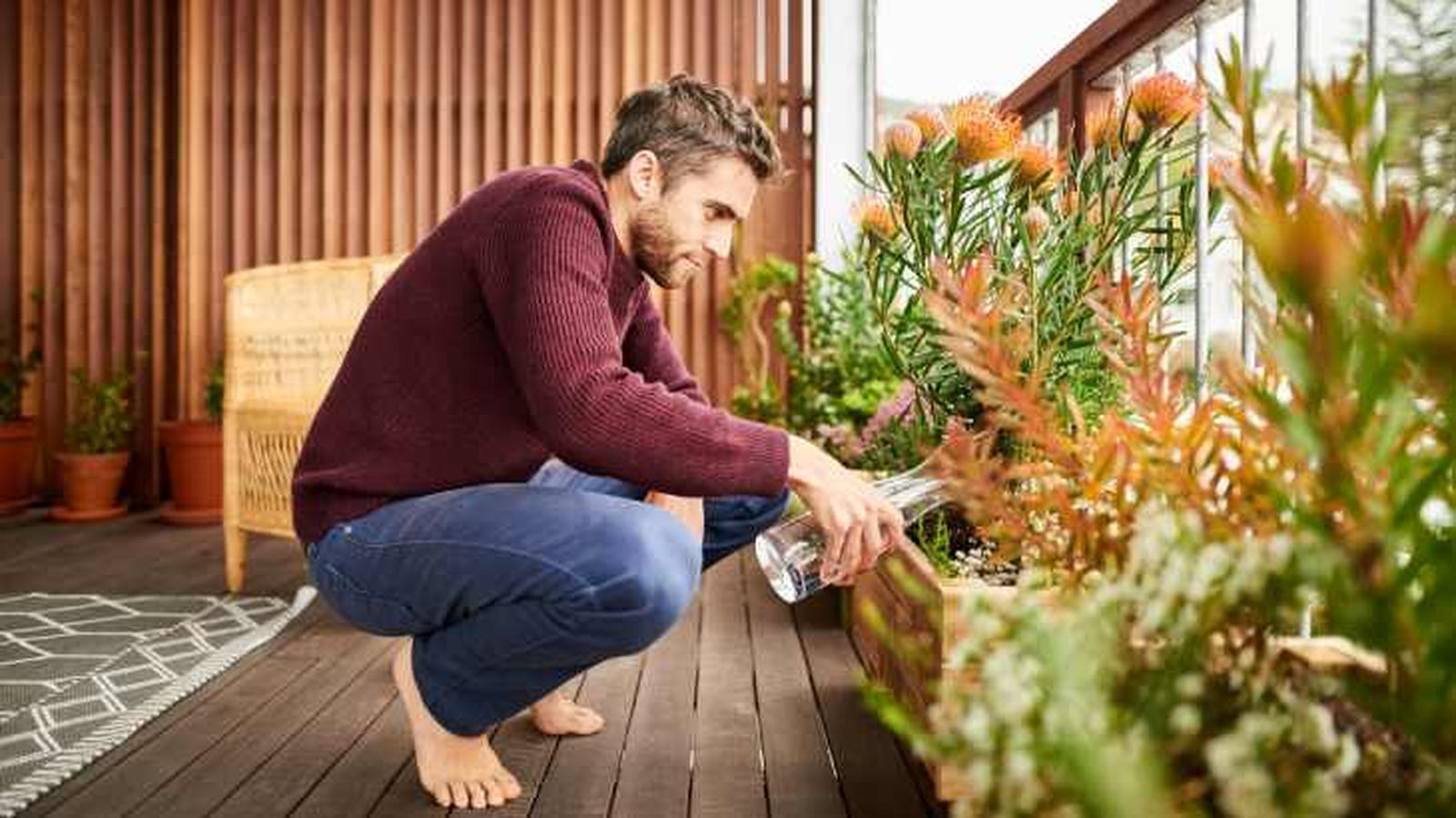 riego plantas del balcon