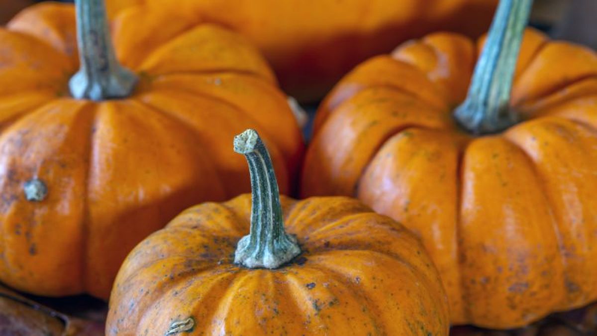 Calabaza dulce de horno