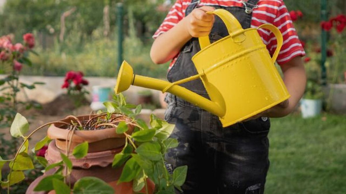 regadera con alcachofa para regar las plantas