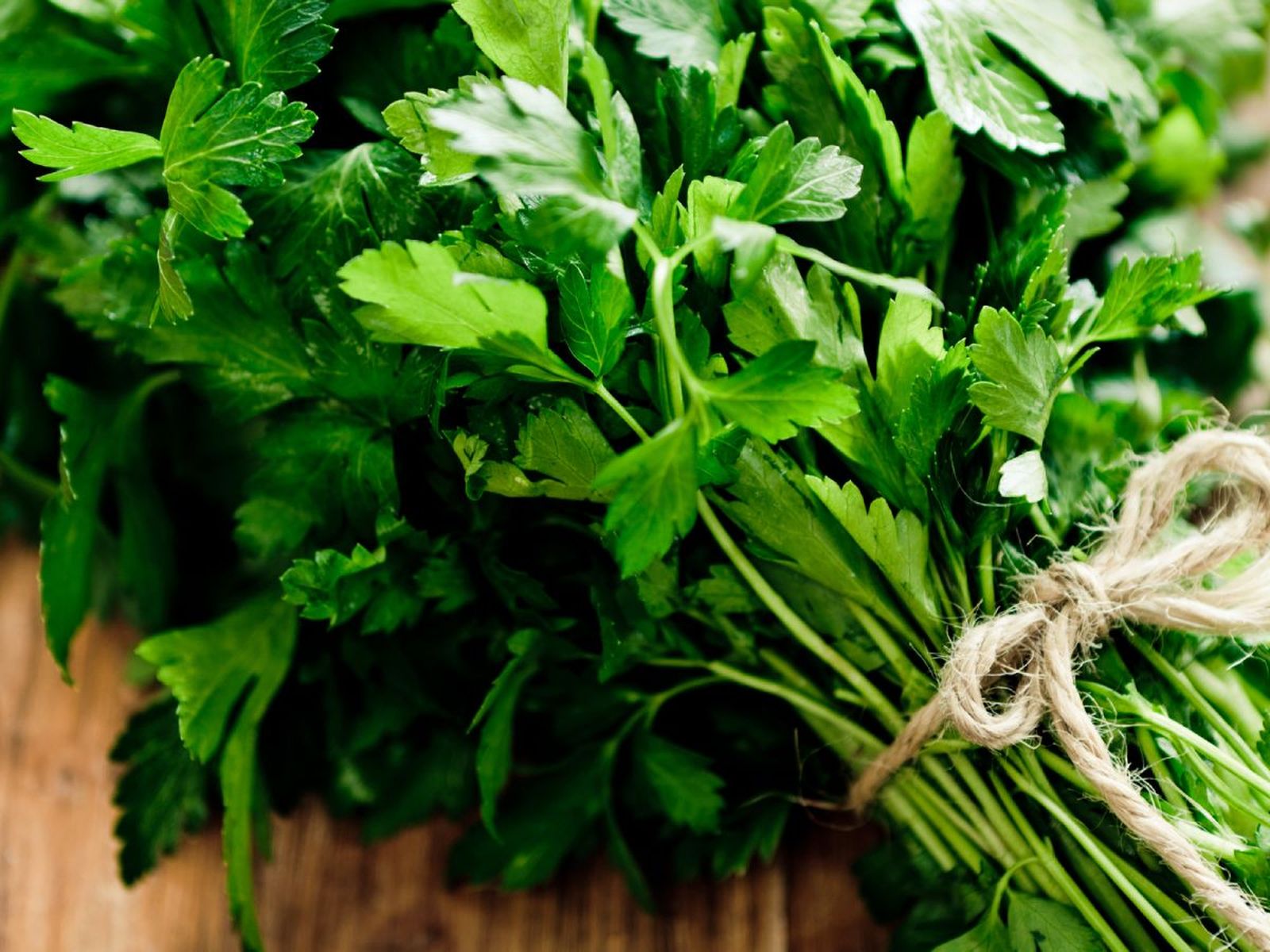 Ramillete de perejil fresco