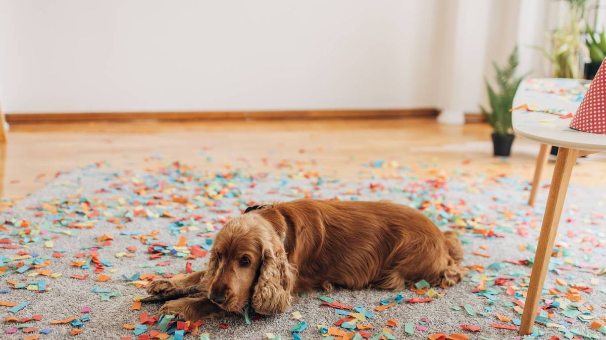 Juegos y actividades para celebrar en casa