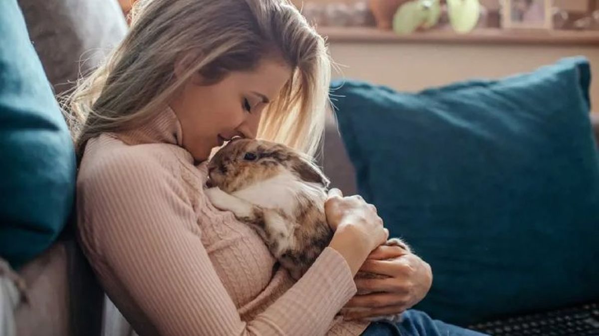 es necesario castrar a un conejo 5