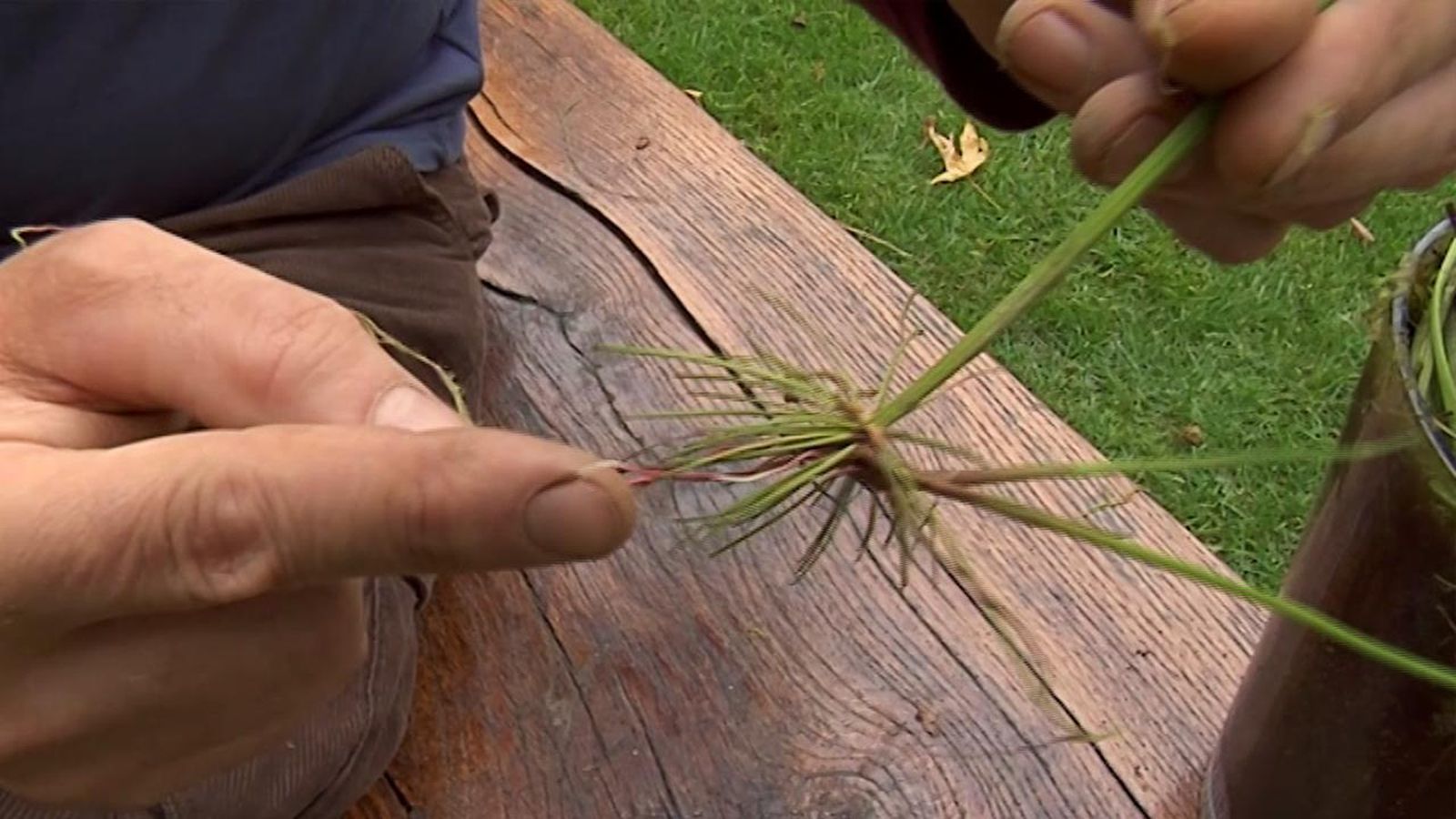 brico 721 planta adecuada para tener clase