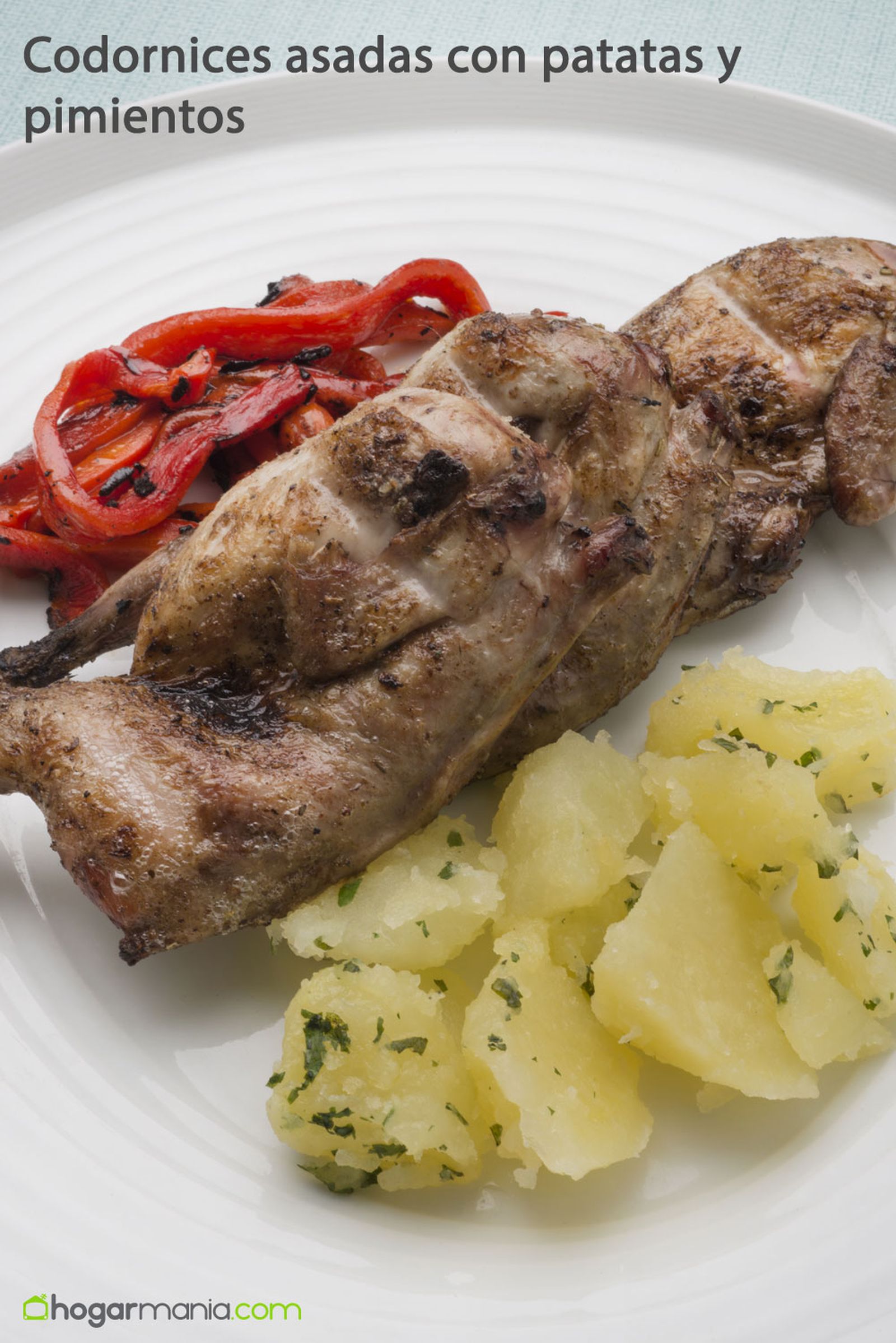 codornices asadas pinterest codornices asadas pinterest