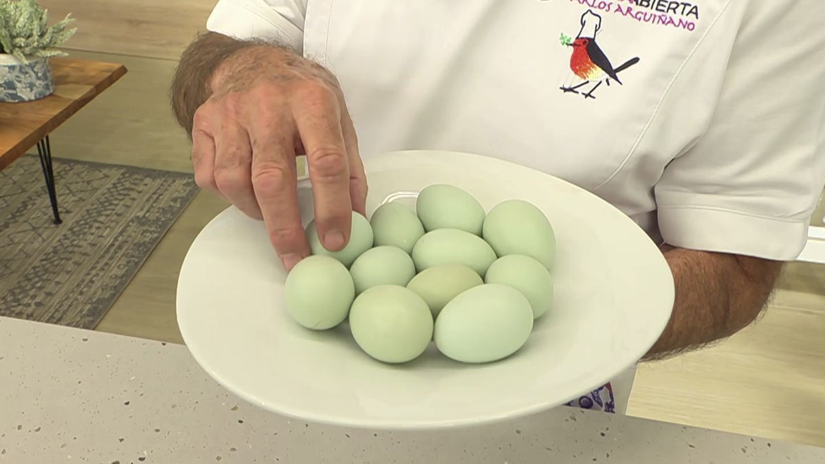 Los huevos de la araucana son de color azul debido a la biliverdina