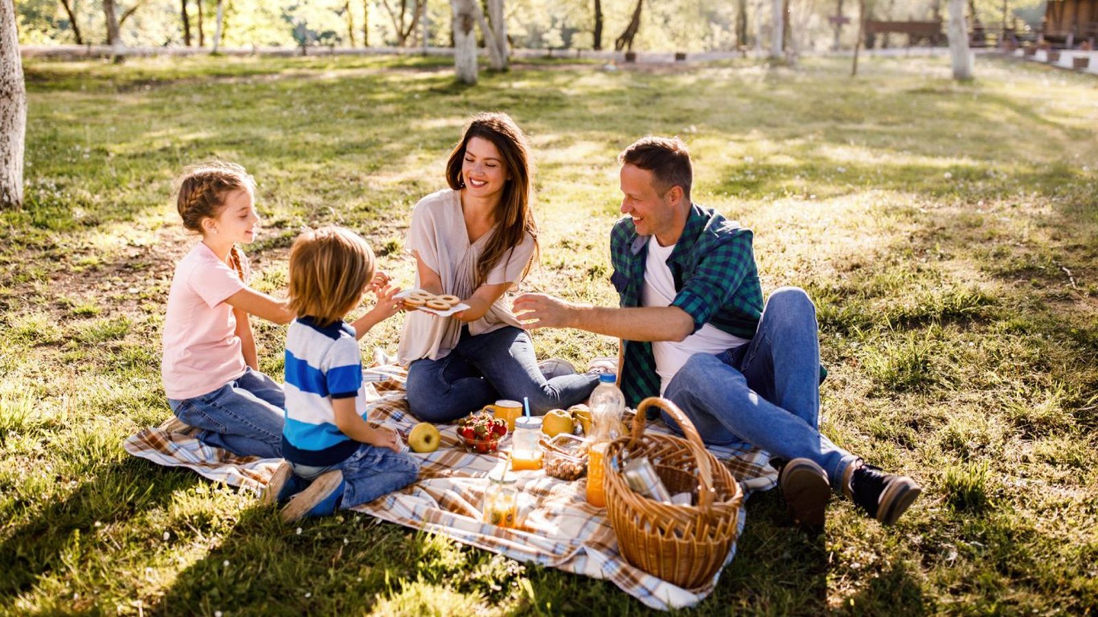Apunta estas ideas de postres para llevar a tus picnics sin riesgos