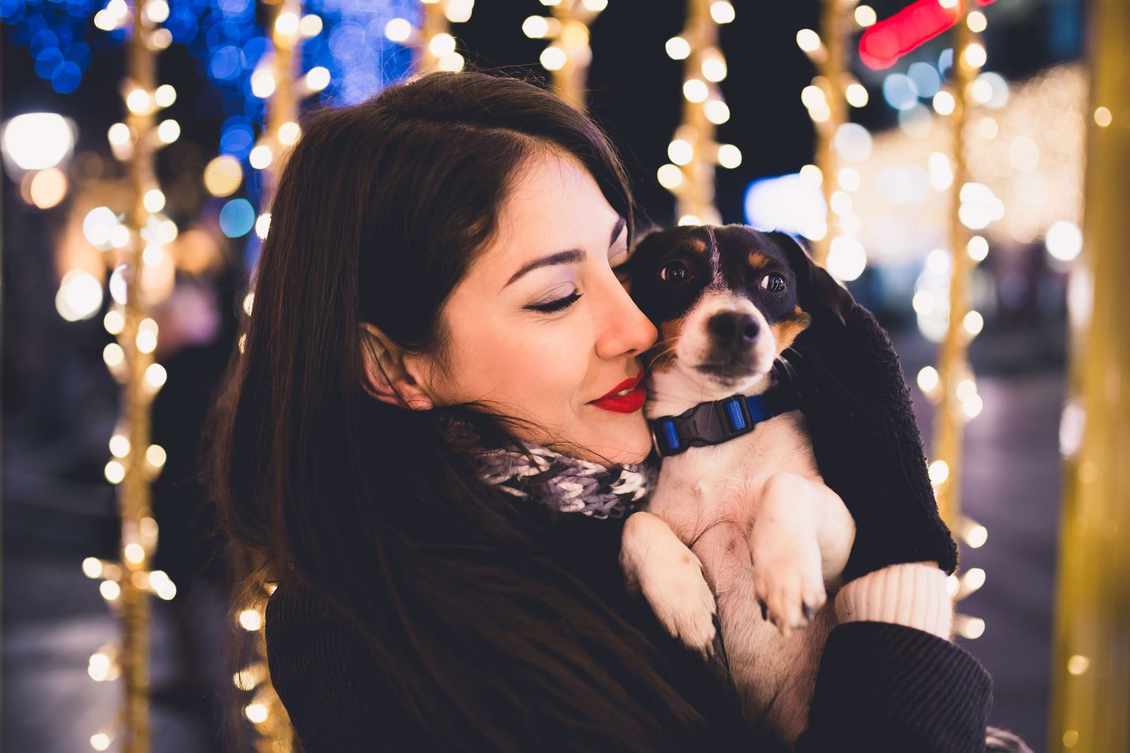Los perros suelen ser las mascotas más afectadas ante los cohetes y petardos. Los perros suelen ser las mascotas más afectadas ante los cohetes y petardos.
