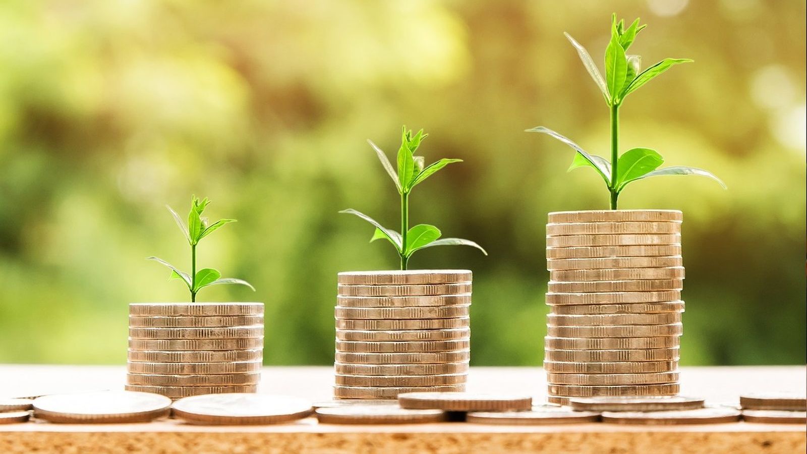 ahorro domestico imprescindible en 2023