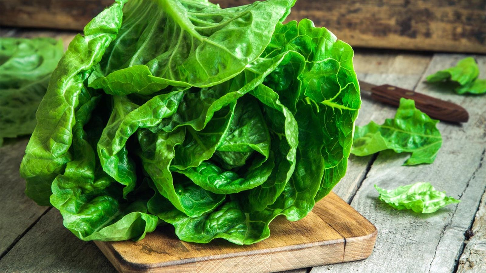 Cómo conservar la lechuga en la nevera Cómo conservar la lechuga en la nevera