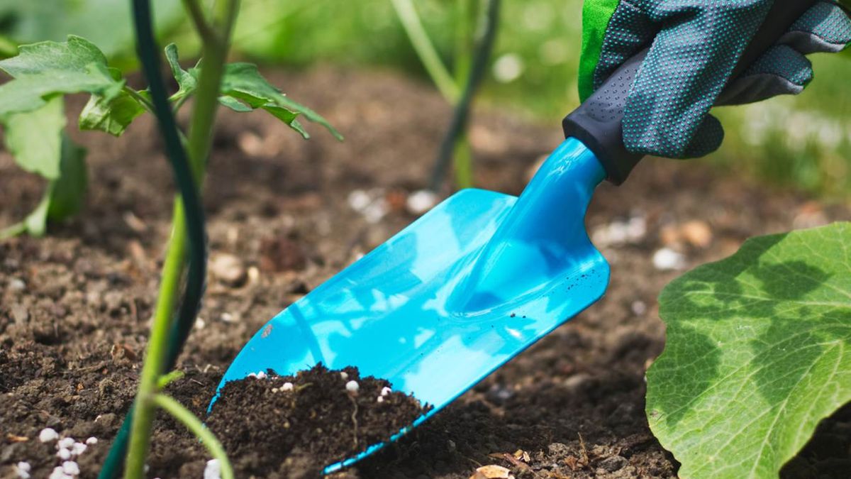 No abonar las plantas