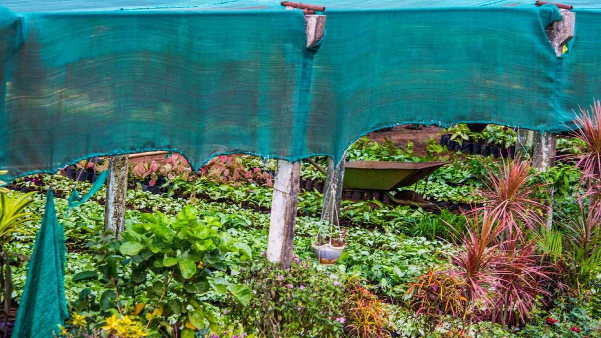 Bloquear la luz del sol directa
