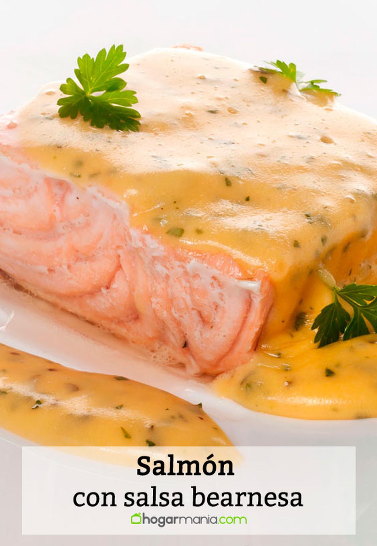 salmon salsa barnesa pin