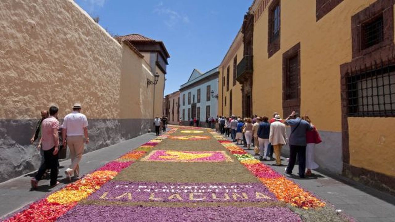 alfombra floral la laguna alfombra floral la laguna