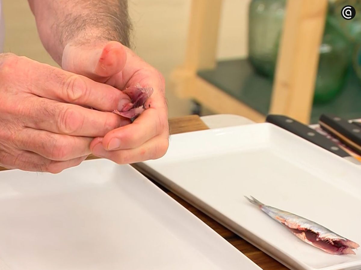 Desviscerar la anchoa