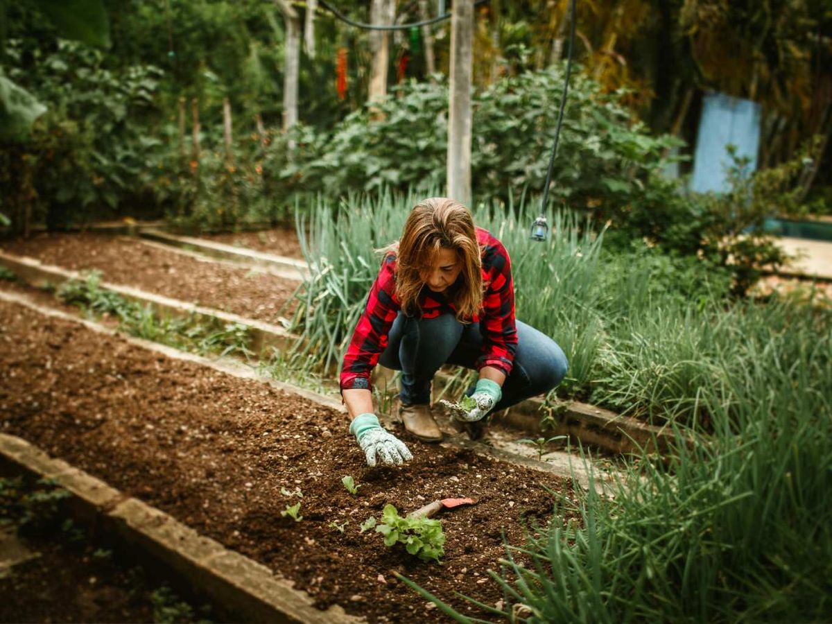 Mujer trabajando en un huerto comunitario.