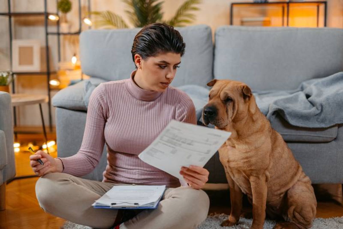Será primordial que guardes todas y cada una de las facturas y justificantes de pago.