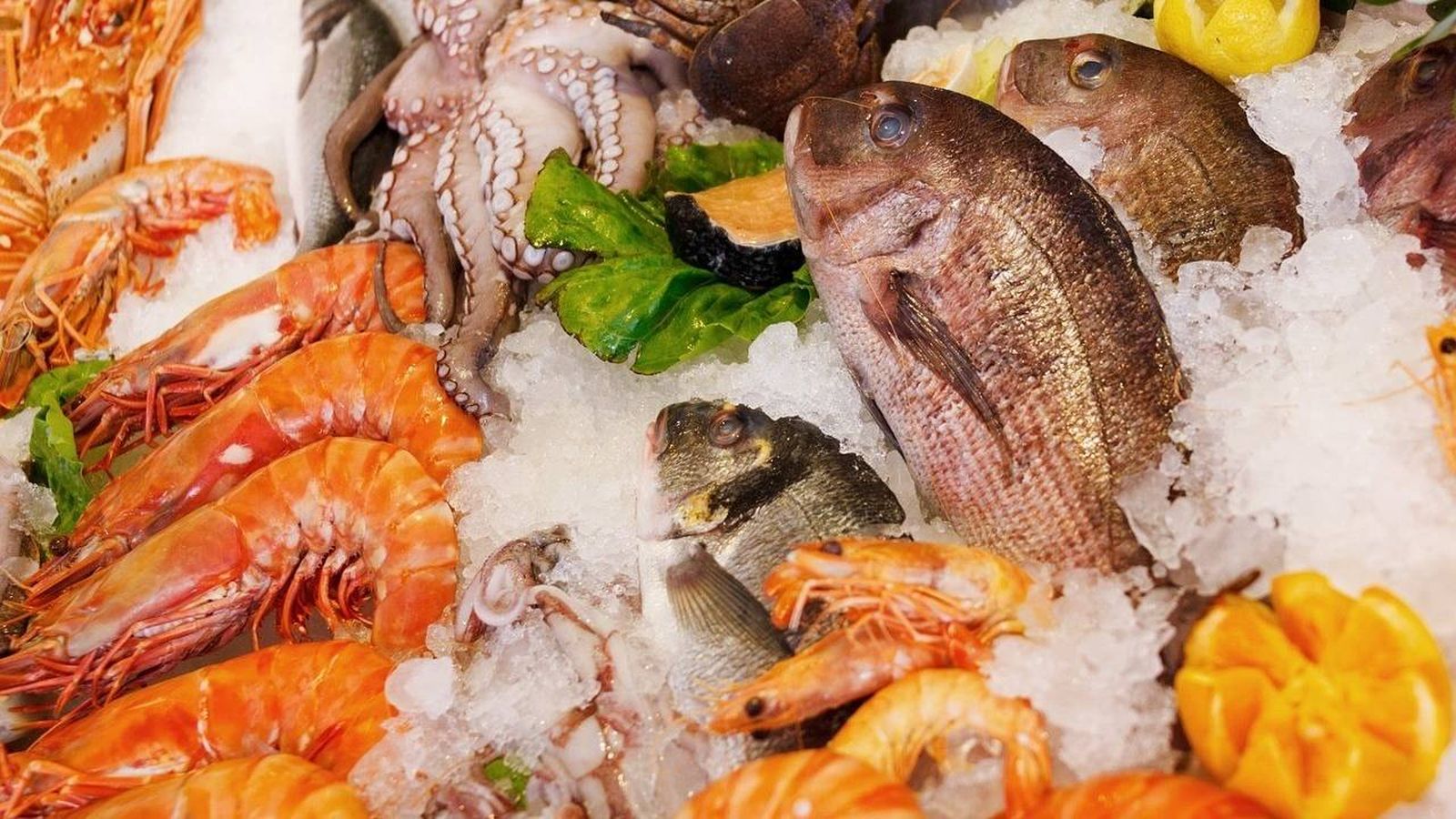 pescado marisco fresco