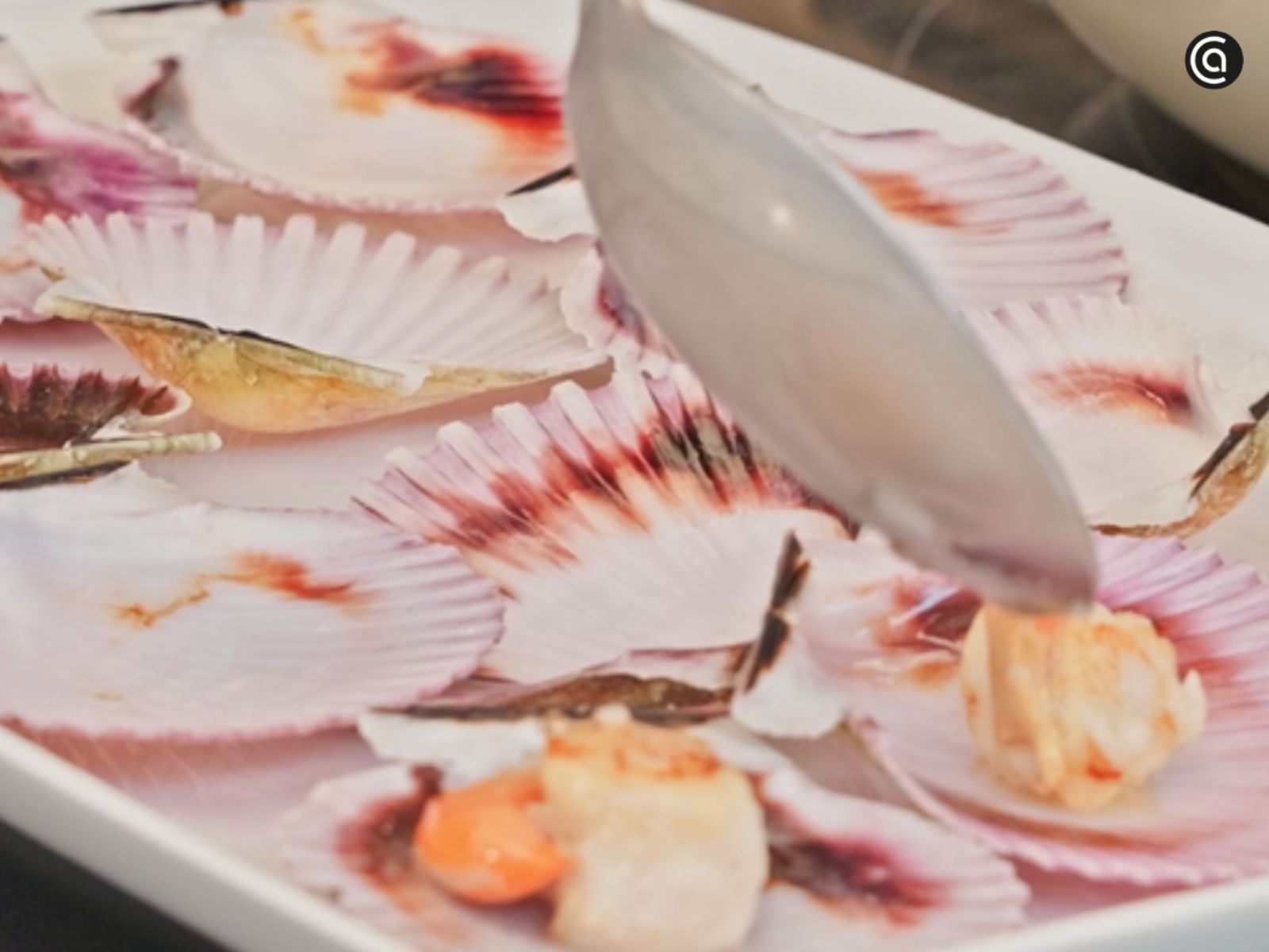 Coloca las zamburiñas ya cocinadas sobre sus conchas para presentarlas.