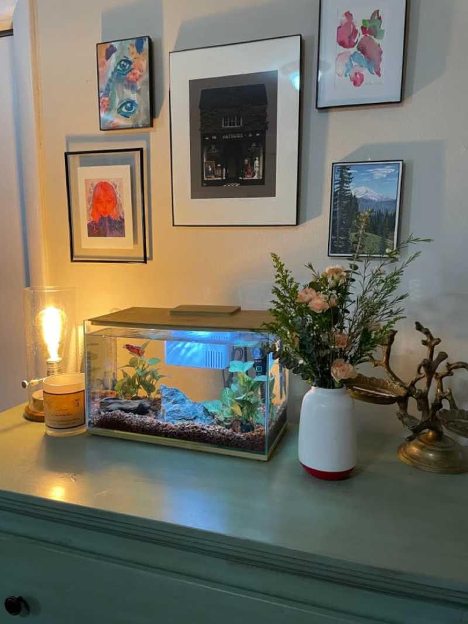Acuario con plantas acuáticas.