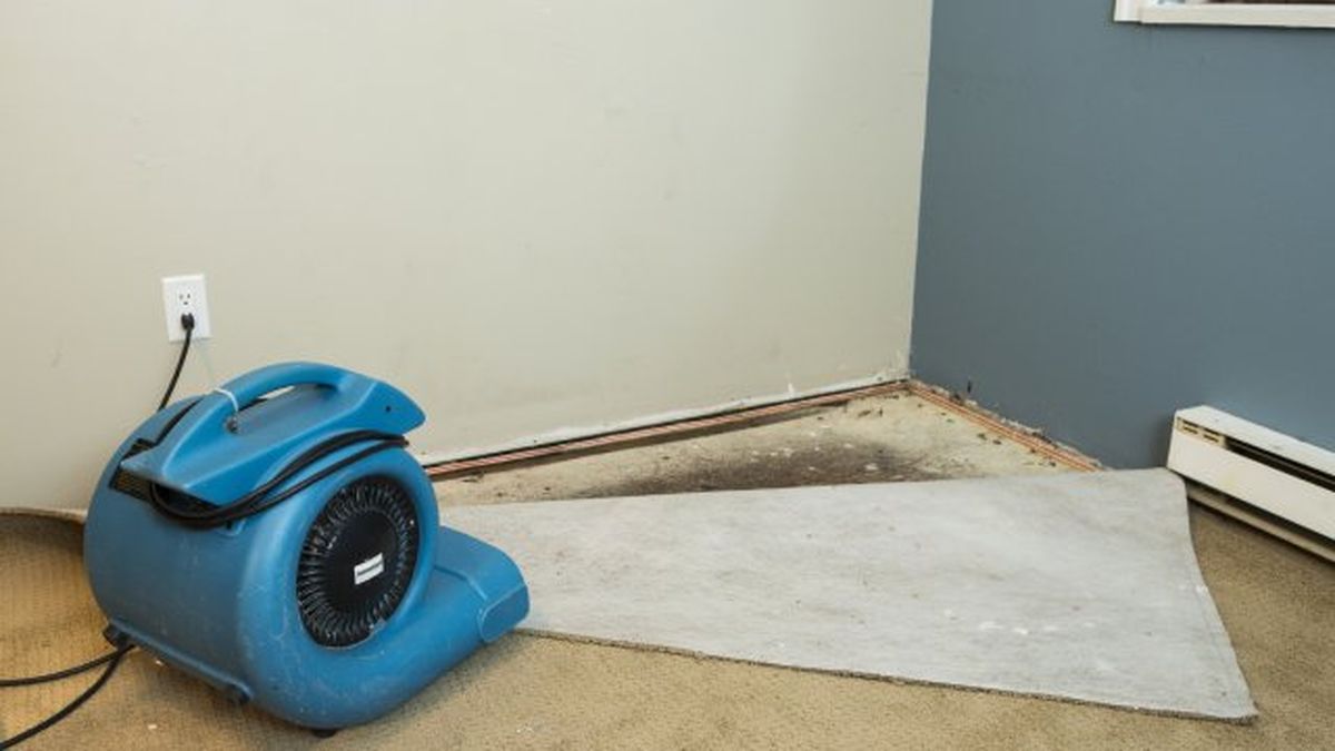 Desecantes para secar paredes mojadas