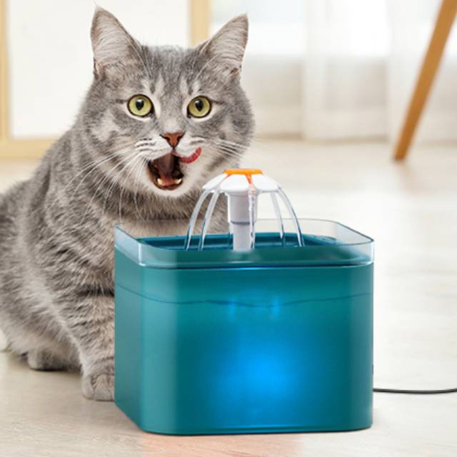 productos para gatos mas vendidos amazon fuente de agua bebedero productos para gatos mas vendidos amazon fuente de agua bebedero