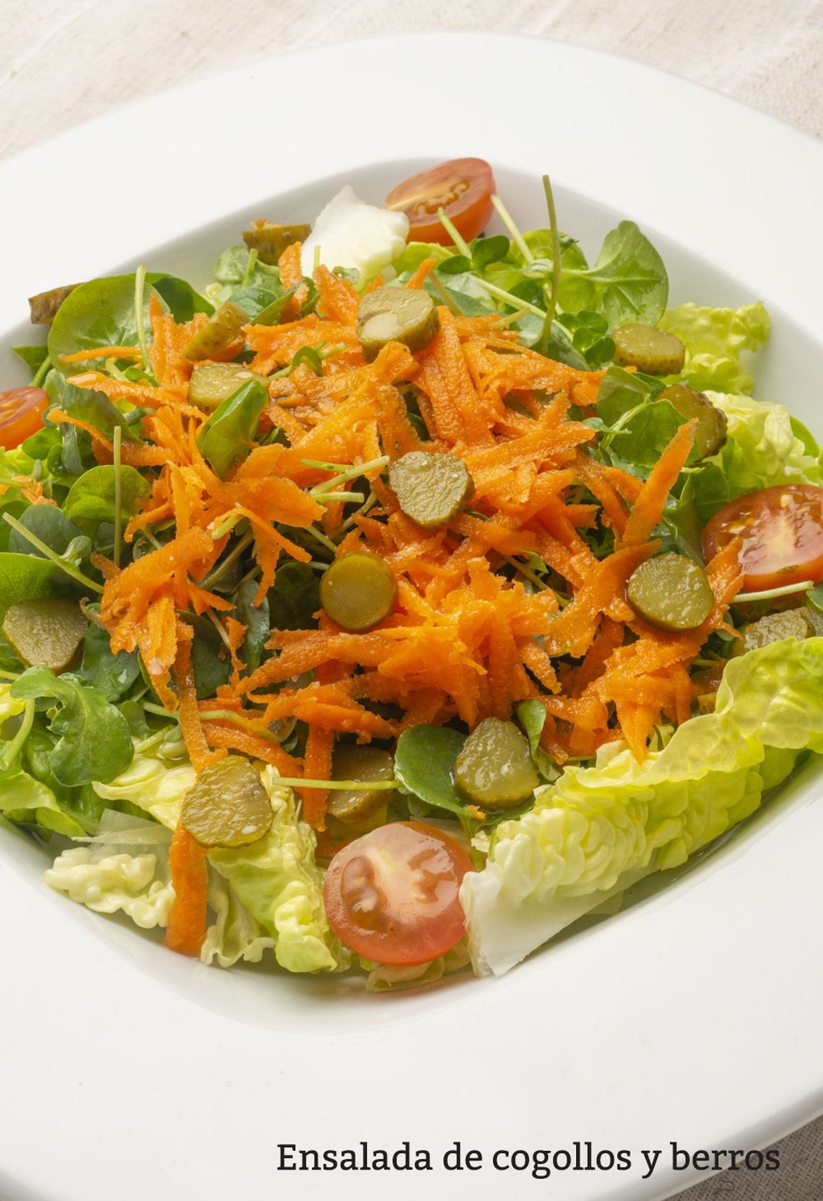 ensalada berros vertical