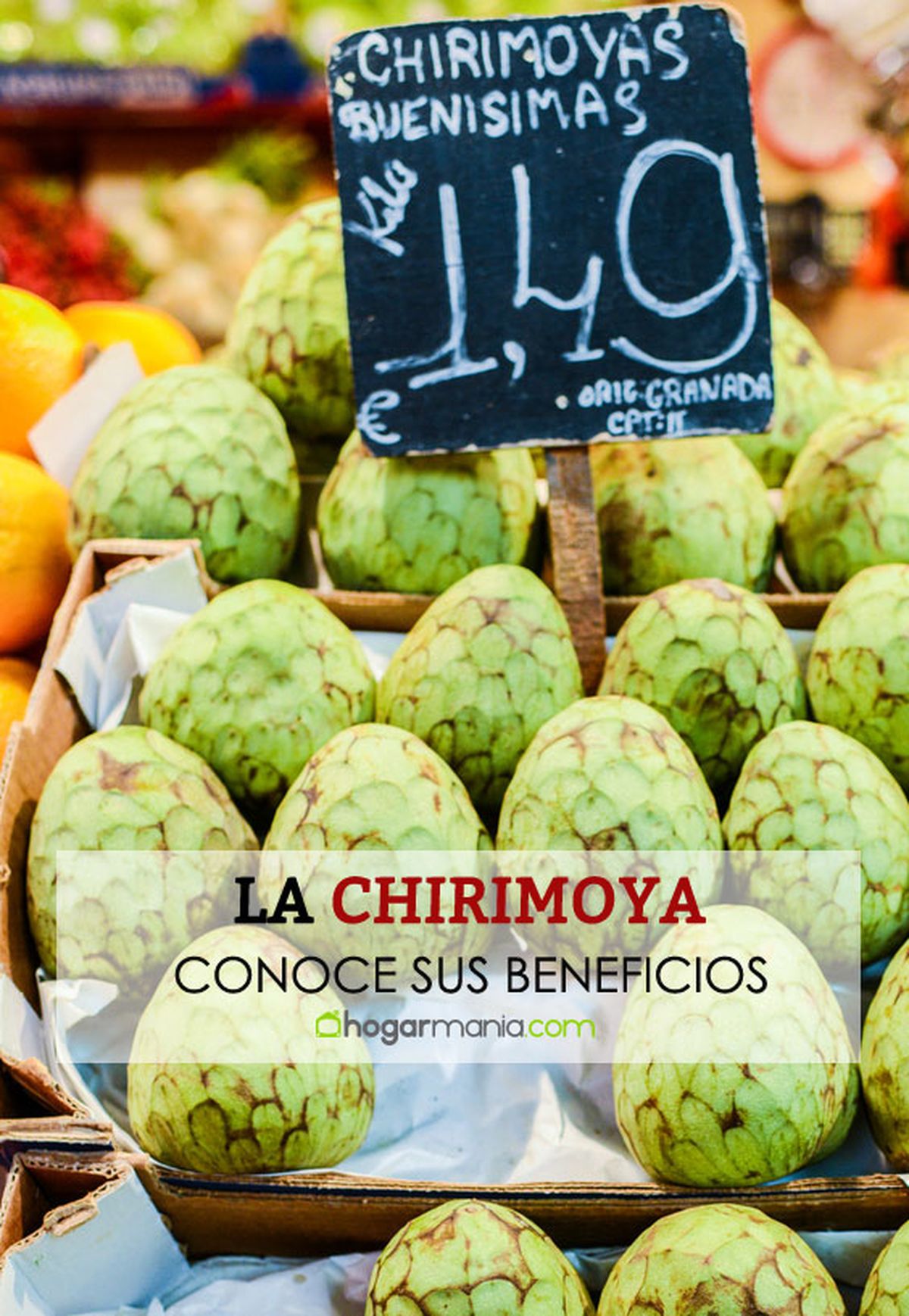 conoce beneficios chirimoya pin